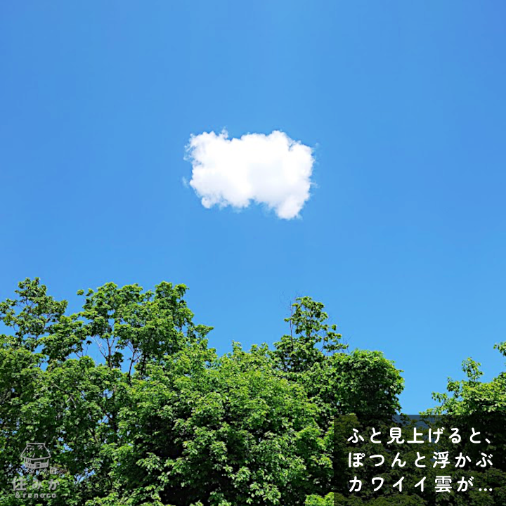 現場で見た風景 ふと見上げると、ぽつんと浮かぶカワイイ雲が…